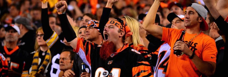 bengals-fans-750x256